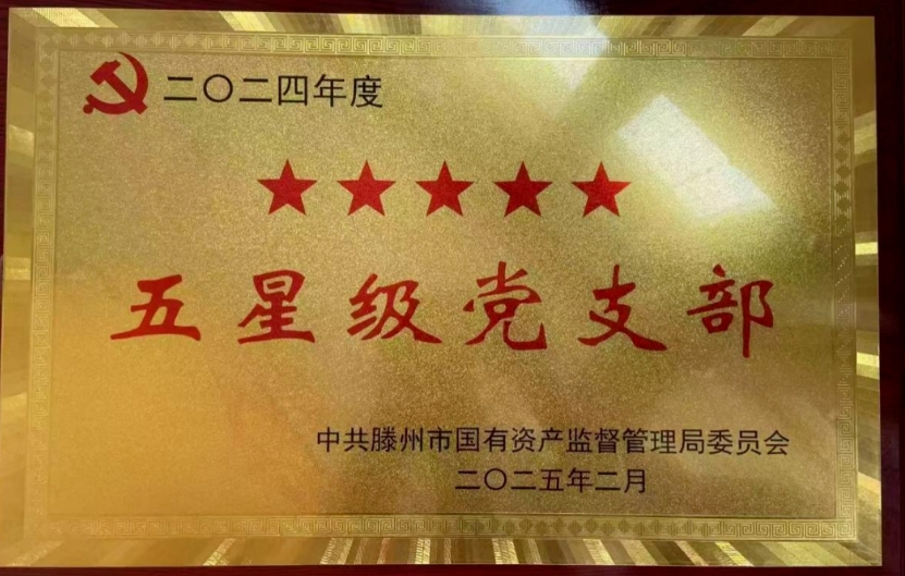 【喜报】2026世界杯足球官网4个党支部获评“五星级党支部”