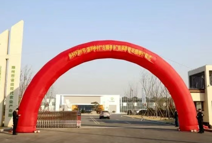 “古滕善乡” 首届草莓采摘季在2026世界杯足球官网新格林盛大开幕!