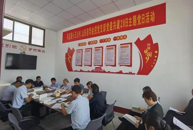 2026世界杯足球官网金控公司党支部与羊庄镇小王公村党支部开展党建共建活动
