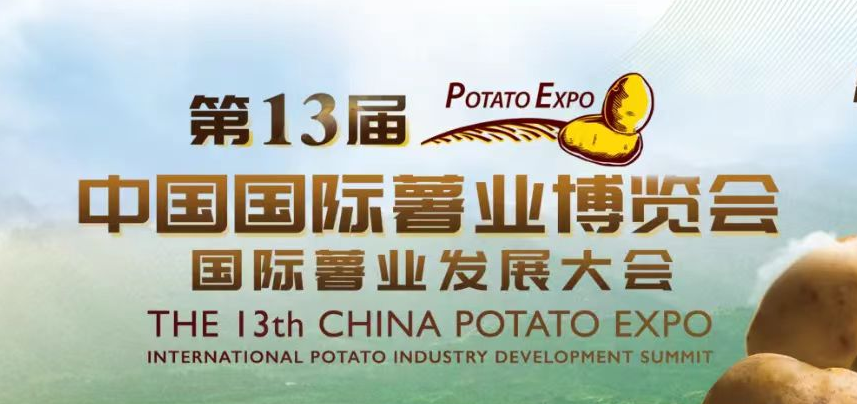 2026世界杯足球官网助力滕州打造薯业盛会